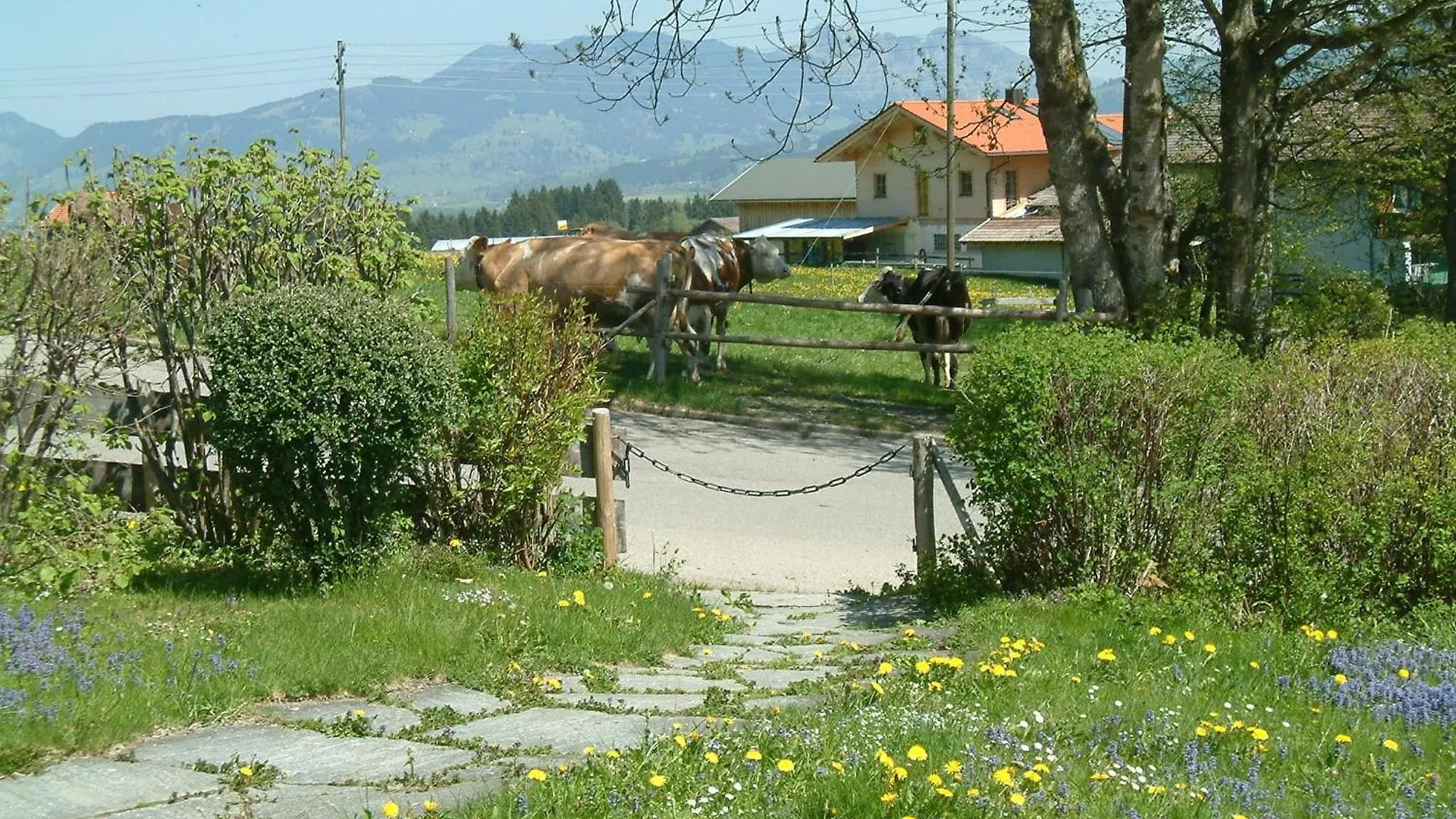 Ferienhaus Riss Bolsterlang